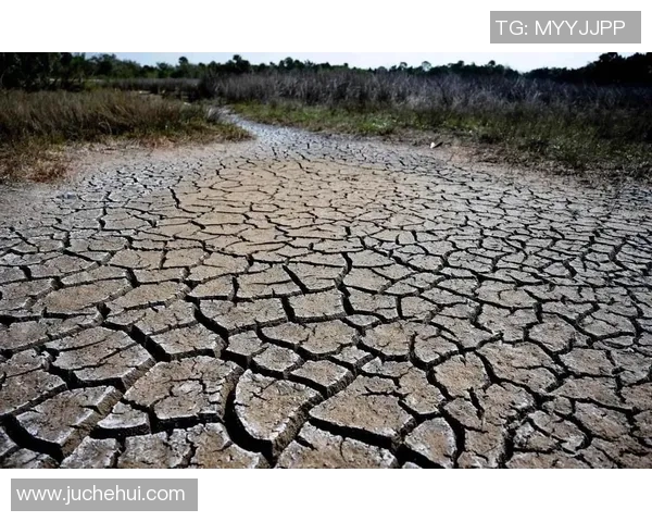 全球气候变化加剧极端天气频发 专家呼吁加强全球应对合作